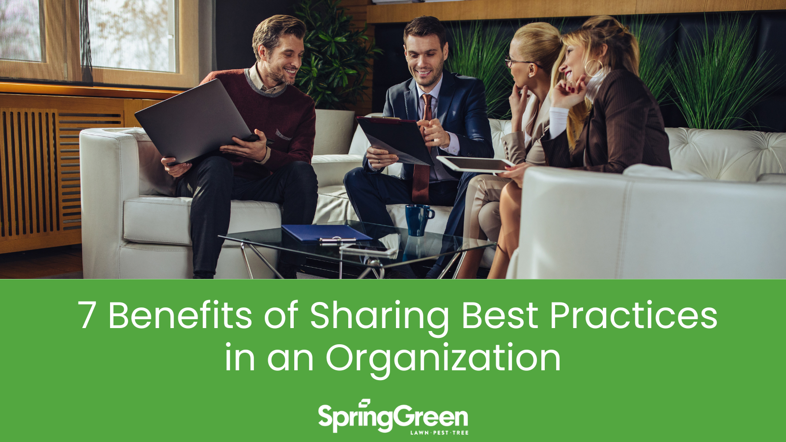 7-benefits-of-sharing-best-practices-in-an-organization-spring-green