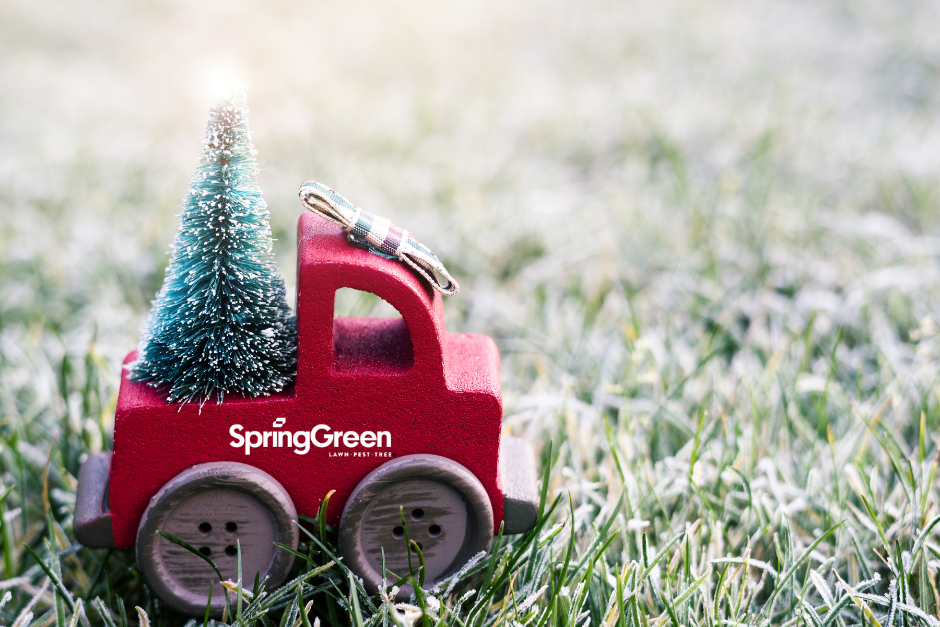 red toy truck with a Christmas tree in the trunk lit up with lights driving on a snowy lawn