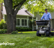 SpringGreen lawncare tech riding on a mower in a backyard of a well kept lawn.