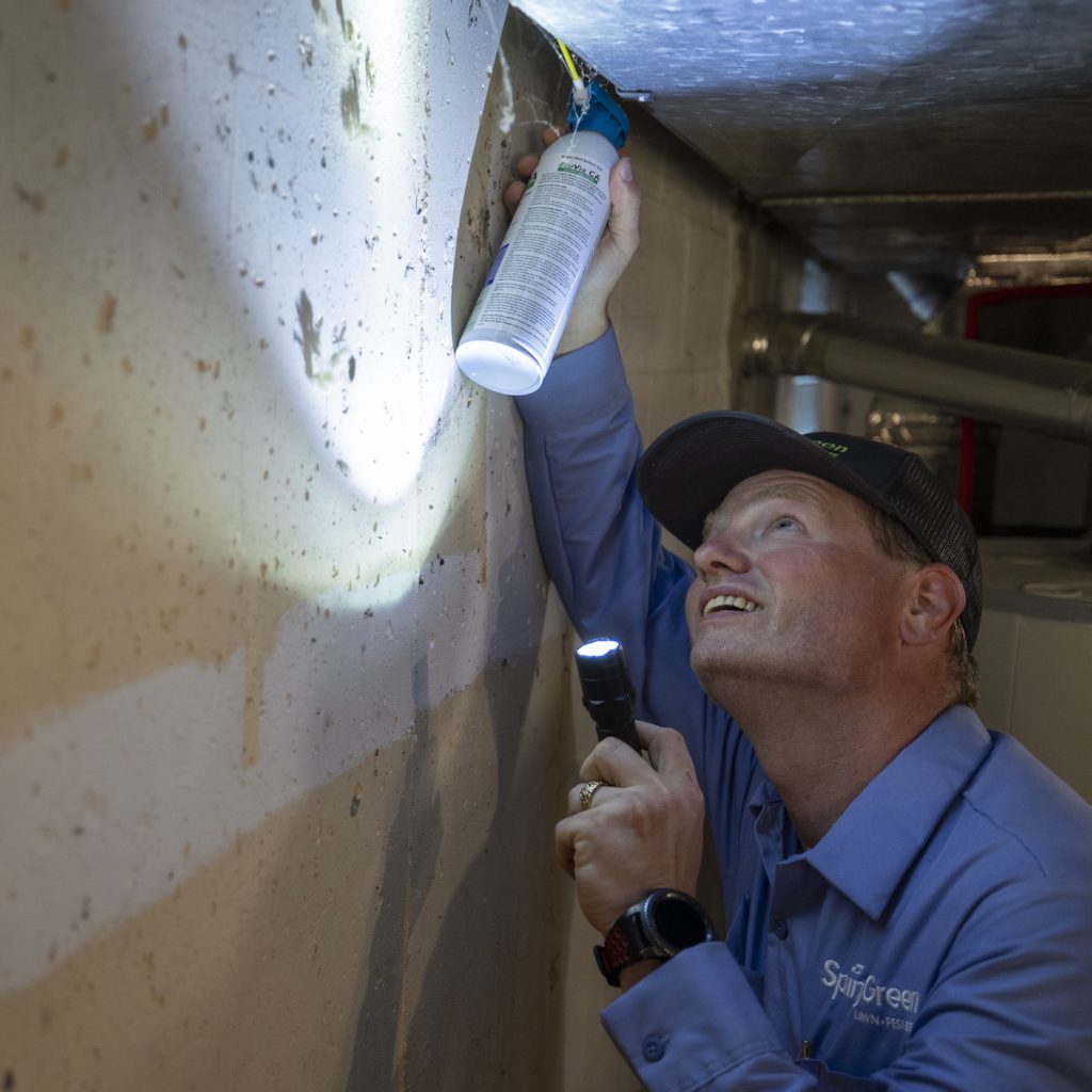 SpringGreen Pest Control
