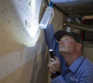 SpringGreen Pest Control